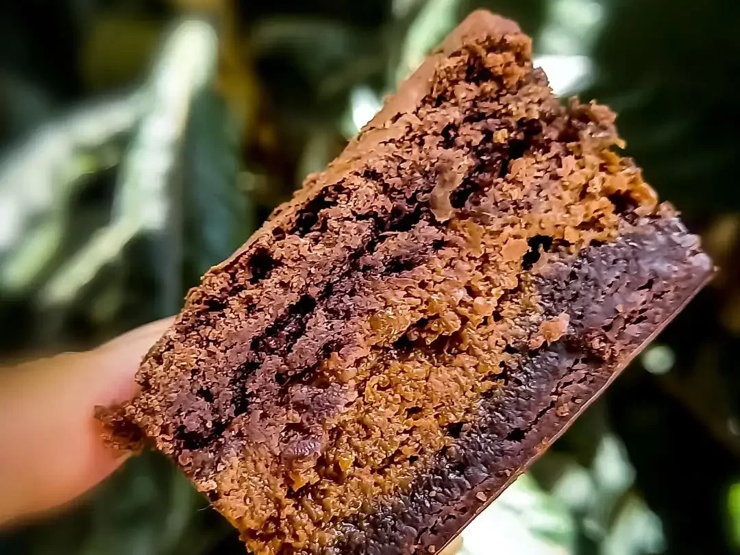 Imagem de uma mão segurando um brownie da brown cake.
