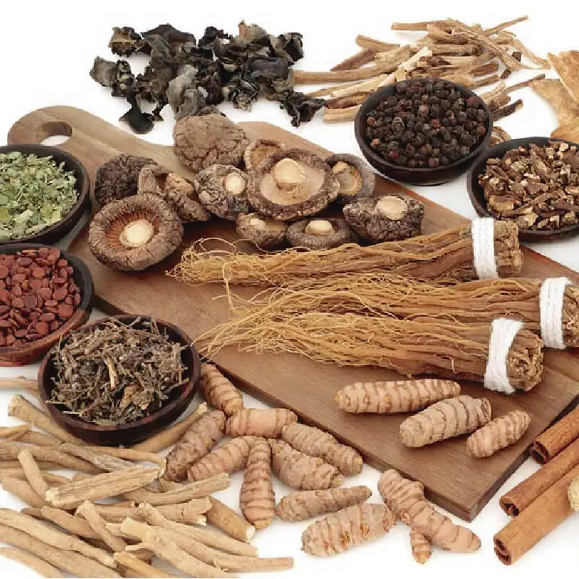 Tendências Alimentares do Mundo: 5 Produtos Alimentícios que o Brasil ainda não conhece. 6 ADAPTOGENOS