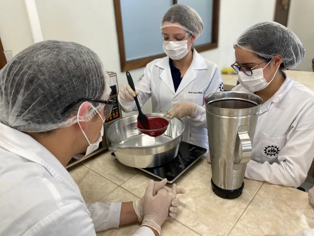 Equipe trabalhando no desenvolvimento do sorvete amoraí