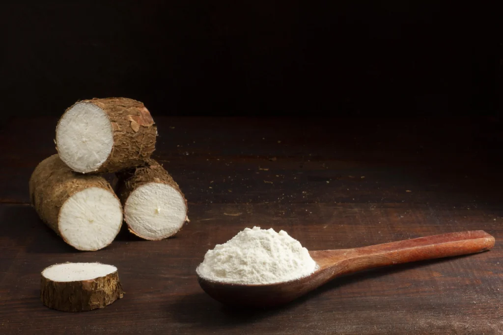 composition nutritious cassava roots sliced